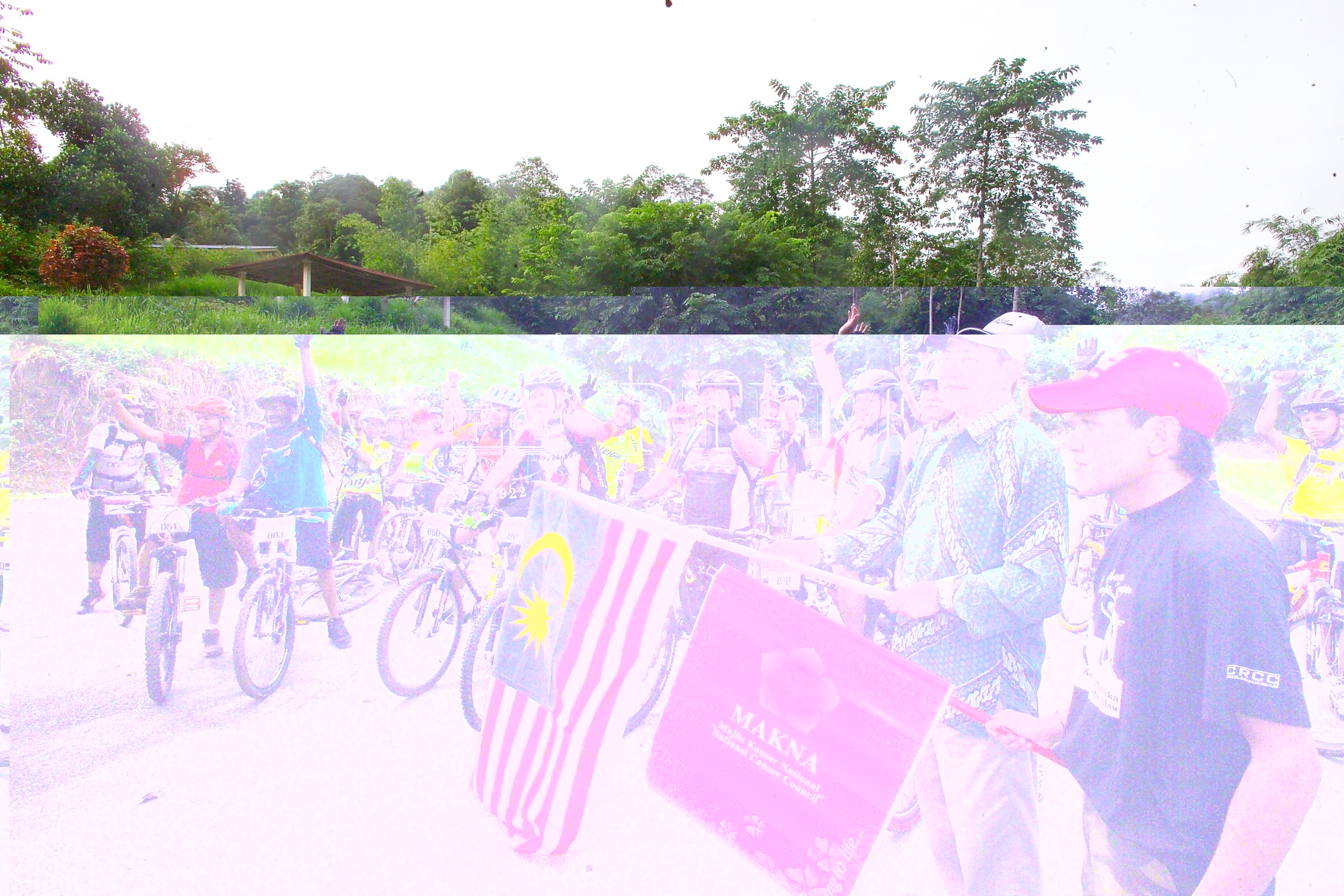 PTPM 06 31 kilau D9X44215